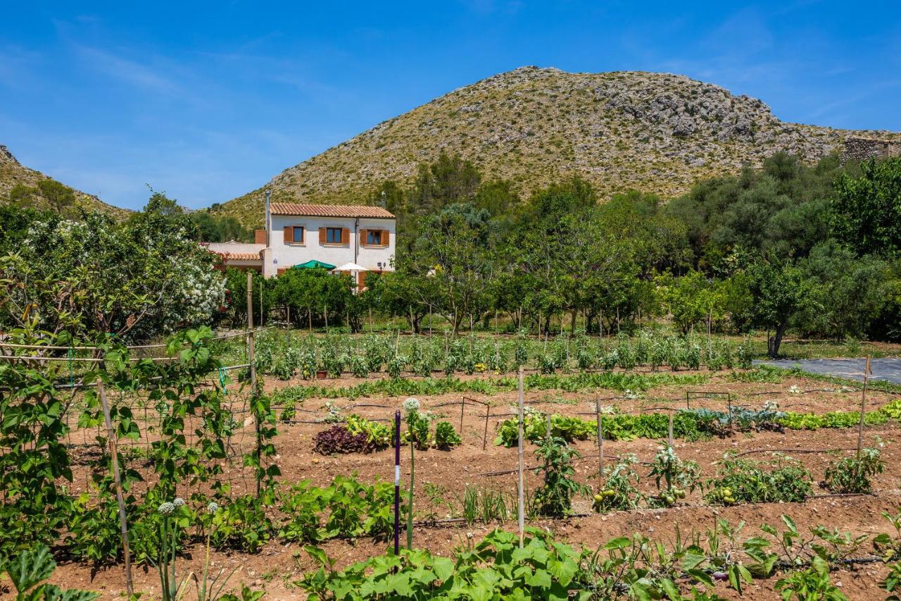 Villa Maria Port de Pollenca Luaran gambar